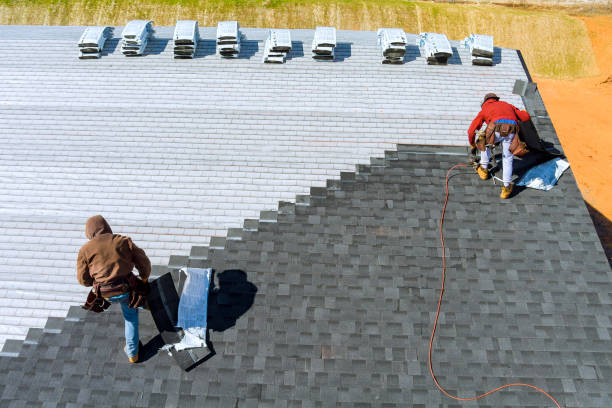 Roof Gutter Cleaning in Lantana, TX